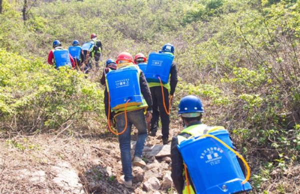 2020042854549529.png 2020042854549529.png