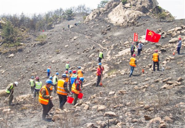 2020042853970237.png 2020042853970237.png