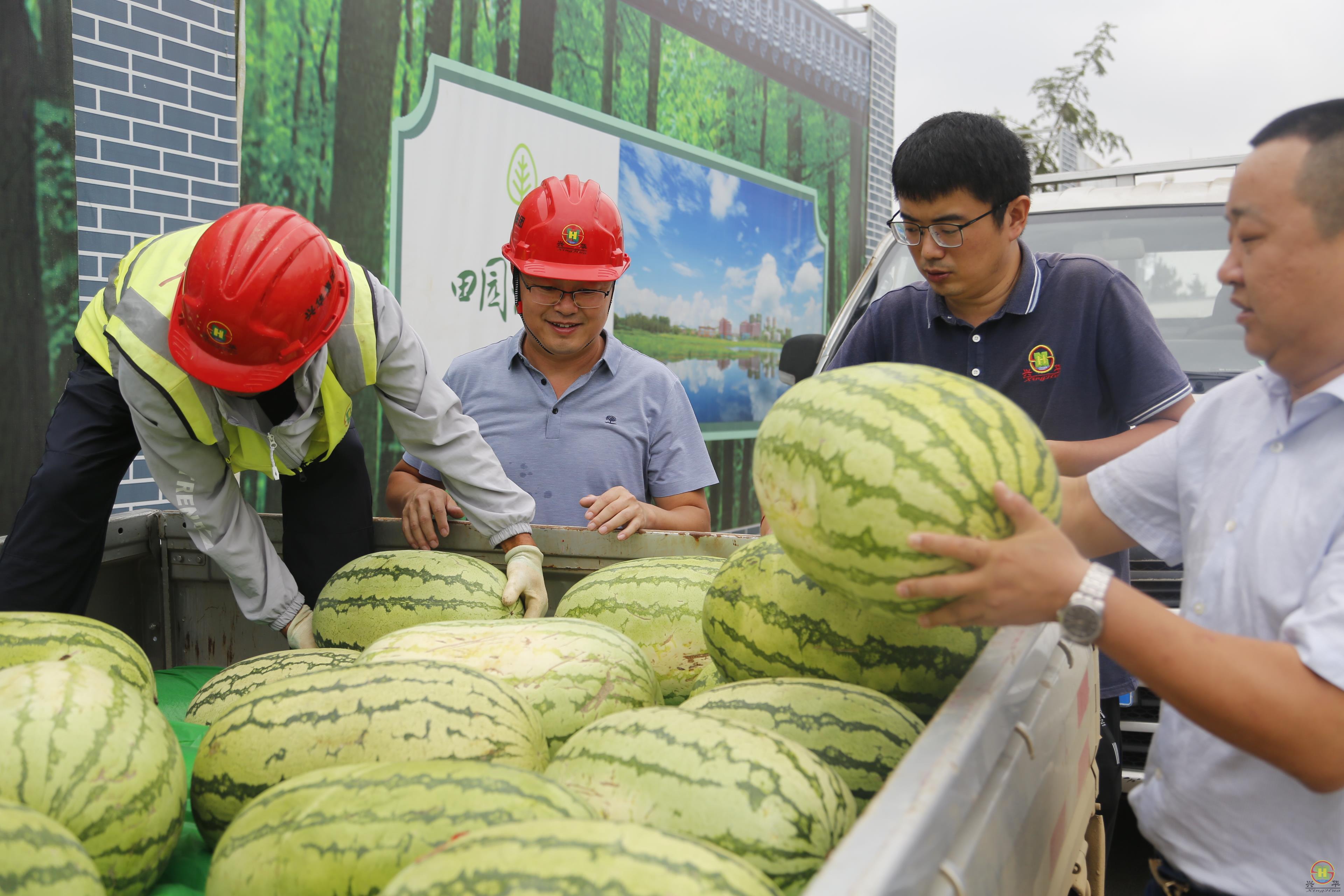 _73A3594.JPG _73A3594.JPG